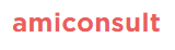 amiconsult GmbH